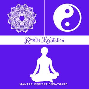 Rörelse Meditation: Tai Chi & Qigong - Mantra Meditationsåtgärd