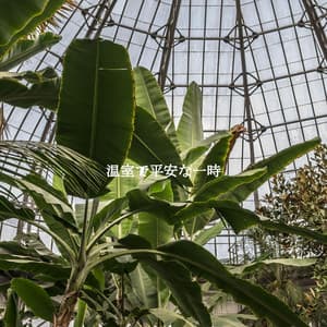 温室で平安な一時 - Easy Listening Instrumental Music