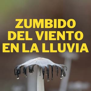 Zumbido Del Viento En La Lluvia - Siempre Lloviendo