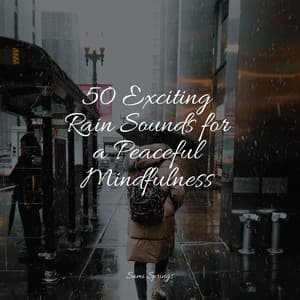 50 Exciting Rain Sounds for a Peaceful Mindfulness - Master Meditação