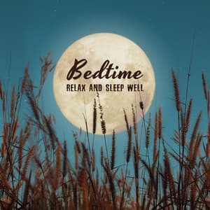 Bedtime: Relax and Sleep Well, Night Sky, Free Your Mind, Close Your Eyes, Trouble Sleeping, Total Relax - Sleep & Dream Music Academy