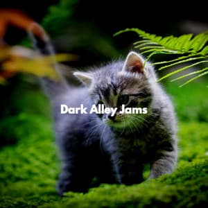 Dark Alley Jams - Calming Music for Cats