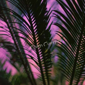 Calm Current - Cosmic Thought