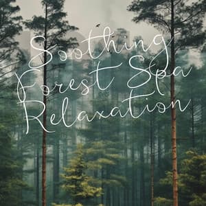 Soothing Forest Spa Relaxation - 101 Nature Sounds