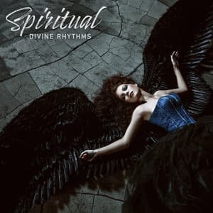 Spiritual Divine Rhythms - Native Shamanic Zone