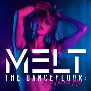 Melt the Dancefloor: Acid House Mix to Get Deep Inside Your Mind - Deep House Lounge