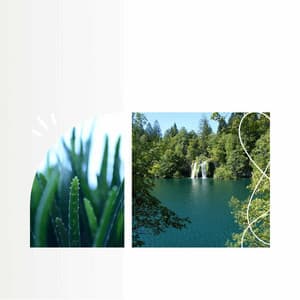 Ambiance for Nature Enjoyment - New York City Jazz