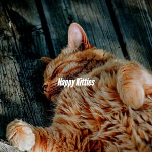 Nappy Kitties - Coffee House Smooth Jazz Playlist
