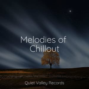 Melodies of Chillout - Nature and Rain