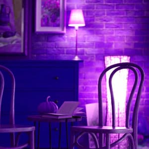 Music for Totally Dreams - Sunday Evening Music