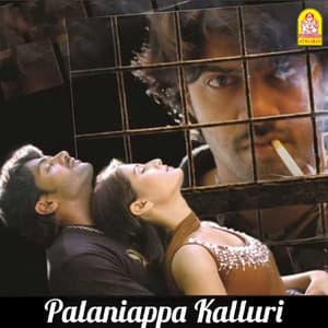 Palaniappa Kalluri - R. P. Patnaik