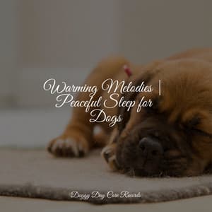 Warming Melodies | Peaceful Sleep for Dogs - Jazz Music Therapy for Dogs