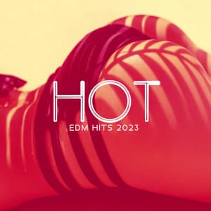 Hot EDM Hits 2023 – Sexy Ibiza Night Club BGM - Hot Chillout