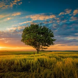 Music for deep and fast sleep - Soothing Relaxation