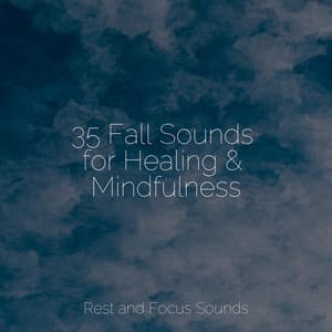 35 Fall Sounds for Healing & Mindfulness - Sleep Waves