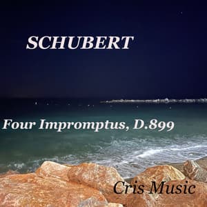 Schubert: 4 Impromptus, D.935 - Artur Schnabel