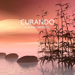 Curando a Alma Oriental: Música Asiática para Spa e Massagens, Pensamento Positivo, Terapia de Relaxamento e Meditação - Academia de Música para Massagem e Relaxamento