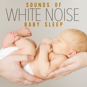 Sounds of White Noise for Baby Sleep - Sounds of Nature White Noise for Baby Sleep