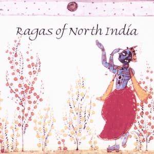 Ragas of North India - Steve Oda