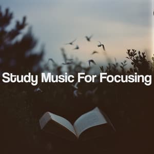 Study Music For Focusing - Kundalini: Yoga, Meditation, Relaxation