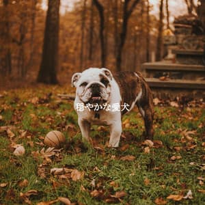 穏やかな愛犬 - Jazz Chill Out Relax