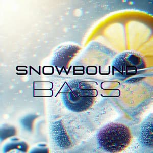 Snowbound Bass: Cool House Vibes - Drink Bar Chillout Music