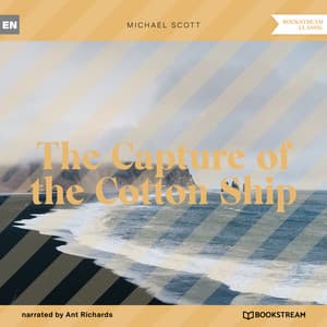The Capture of the Cotton Ship - Ant Richards