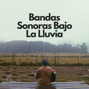 Bandas Sonoras Bajo La Lluvia - Meditación Lluvia Sonidos