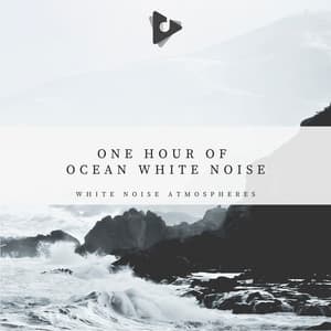 1 Hour of Ocean White Noise - White Noise Atmospheres
