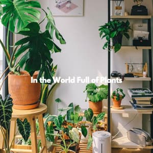 In the World Full of Plants - Dog Sleeping Soundtracks Deluxe