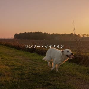 ロンリー・ケイナイン - 1940s Coffee Jazz