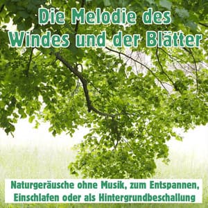 Die Melodie des Windes und der Blätter: Naturgeräusche ohne Musik, zum Entspannen, Einschlafen oder als Hintergrundbeschallung - Waldgeräusche