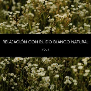 Relajación Con Ruido Blanco Natural Vol. 1 - Música Instrumental Maestro
