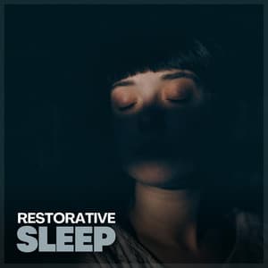 Restorative Sleep - Rainforest Sounds