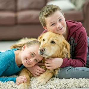 Comforting Cadence: Binaural Pet Pleasantries - Sonic Whales