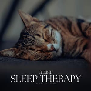 Feline Sleep Therapy - Calm Cat Music