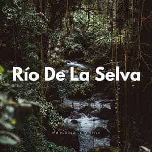Río Rocoso De La Selva - Agua Mantra