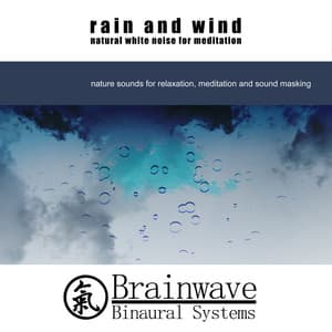 Rain and Wind Natural White Noise for Meditation - Brainwave Binaural Systems