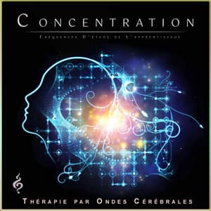 Concentration : Fréquences D'étude de L'apprentissage - Etude Des Ondes Alpha
