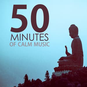 50 Minutes of Calm Music - Relaxing Tracks for a Quick Meditation Session - Calm Music Ensemble