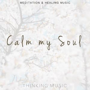 Calm My Soul - Thinking Music