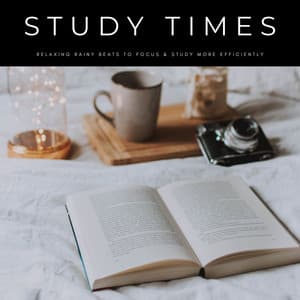 Study Times: Relaxing Rainy Beats To Focus & Study More Efficiently - Relaxing Study Music
