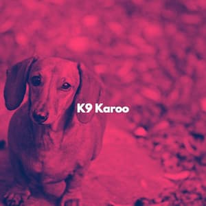 K9 Karoo - Smooth Chill Playlist