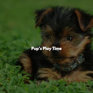 Pup's Play Time - Cafe Jazz BGM
