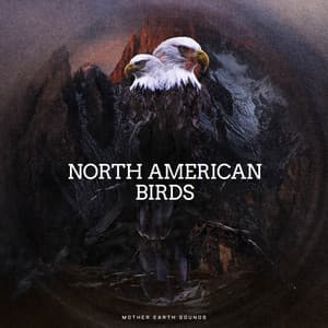 North American Birds - Mother Earth Sounds