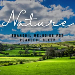 Restful Reverie: Tranquil Melodies for Peaceful Sleep - Relaxxium