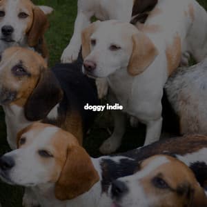 doggy indie - Morning Bossanova Playlist
