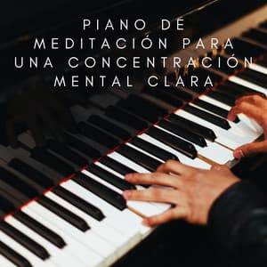 Concentración Tranquila: Piano De Meditación Para Una Concentración Mental Clara - Fondo de jazz de piano con clase