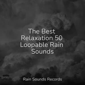 The Best Relaxation 50 Loopable Rain Sounds - Ambient