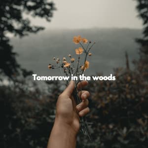 Tomorrow in the woods - Hotel Lounge Deluxe